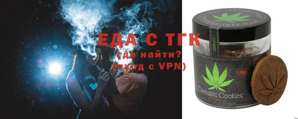 шишки Ельня
