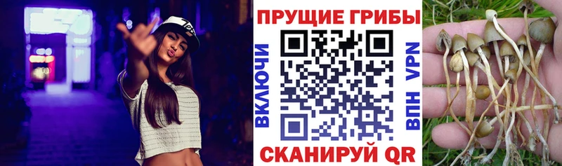 Галлюциногенные грибы MAGIC MUSHROOMS  дарнет шоп  Воркута 